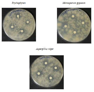 pure-applied-compound