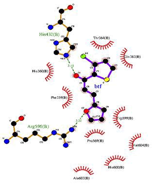 pure-applied-ligand