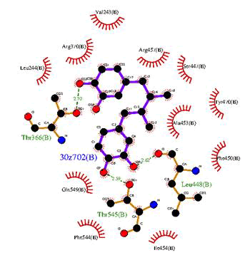 pure-applied-ligand