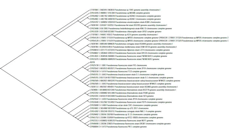 research-reviews-phylogenetic