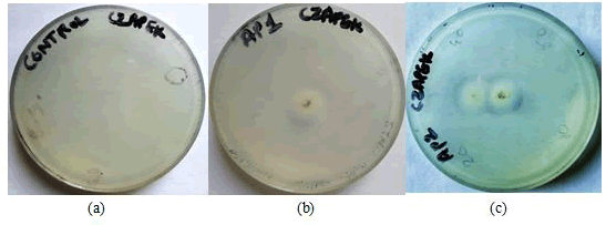 research-reviews-screening