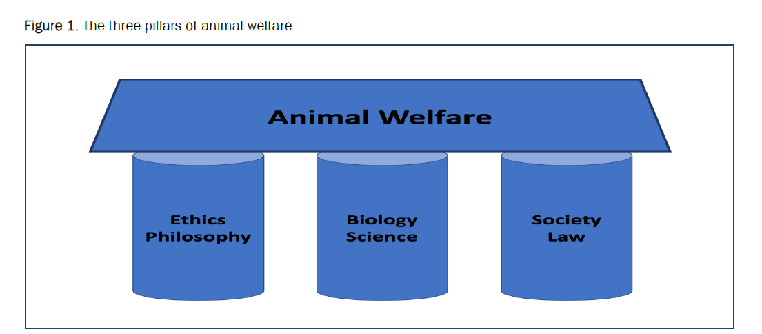 veterinary-sciences-animal