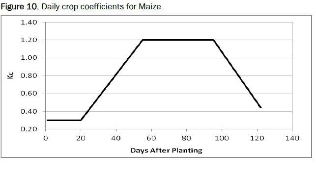 Agriculture-Sciences-Maize