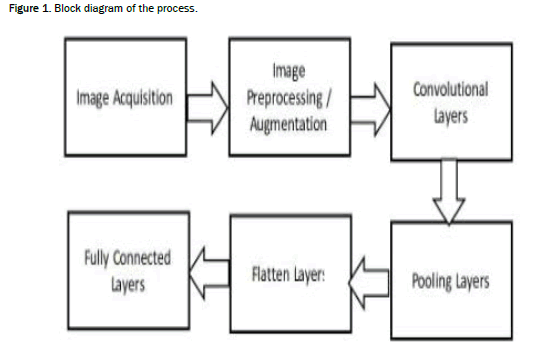 Agriculture-Sciences-process