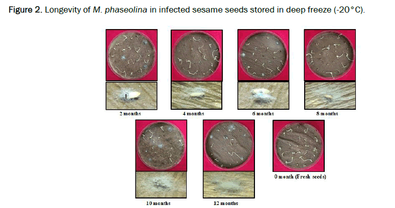 Agriculture-Sciences-stored