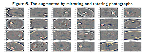 GRCS-mirroring