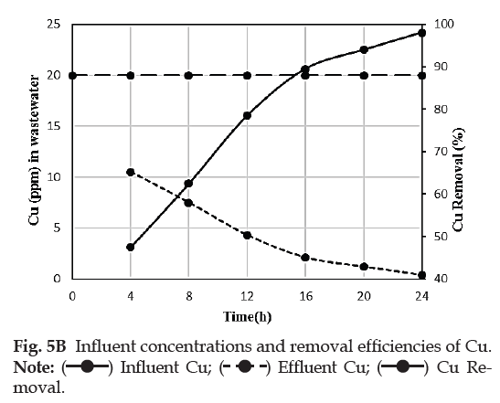 Industrial-Influent