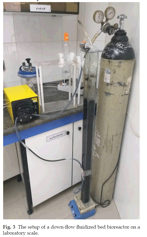 Industrial-bioreactor