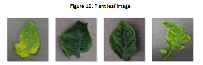 JAAS-Plant