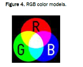 JAAS-RGB