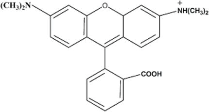 JAAS-molecular