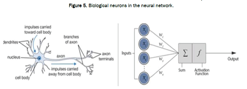 JAAS-neurons