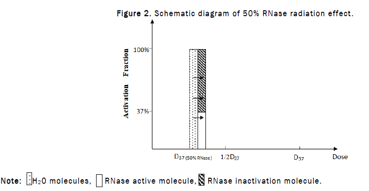 JCHEM-molecule