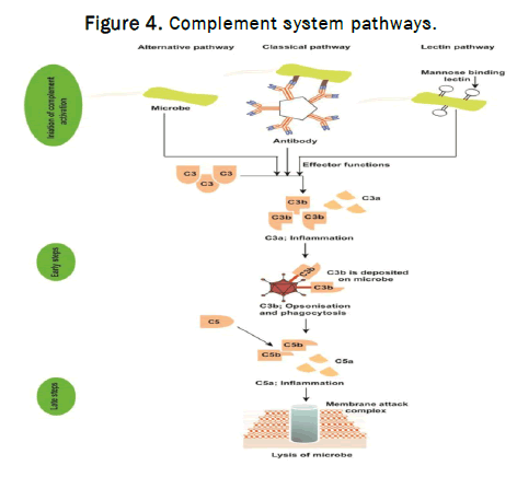 JMB-Complement