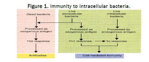 JMB-Immunity