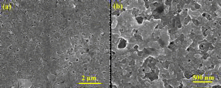 JPAP-SEM