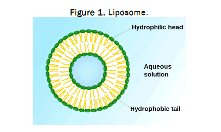 JPN-Liposome