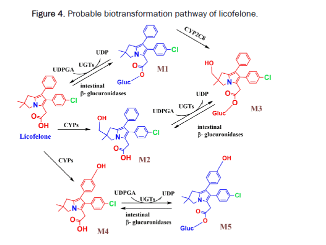 JPPS-Probable