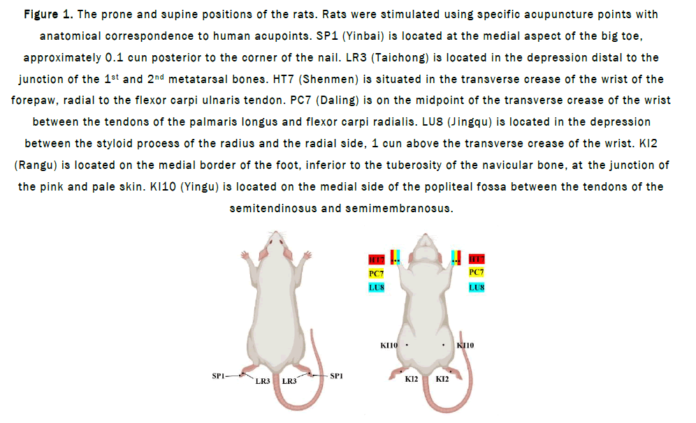 JPPS-prone