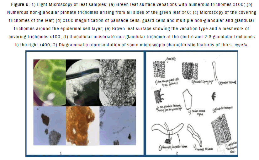 JPRPC-Microscopy