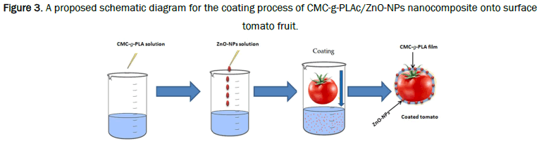 Material-Sciences