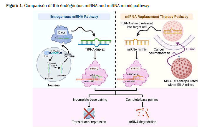 Medical-Clinical-pathway