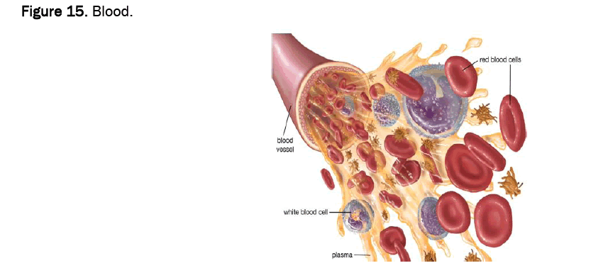 agriculture-allied-blood