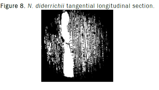 botanical-sciences-long