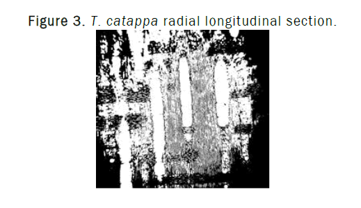 botanical-sciences-radial