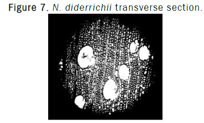 botanical-sciences-transverse