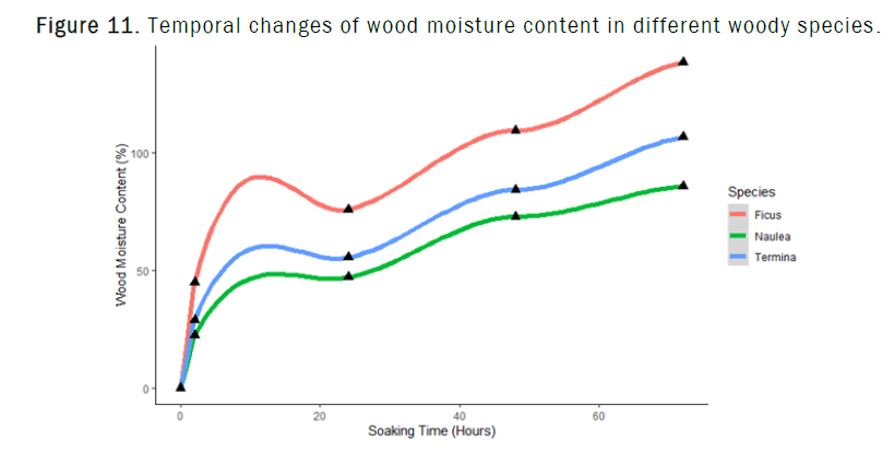 botanical-sciences-wood