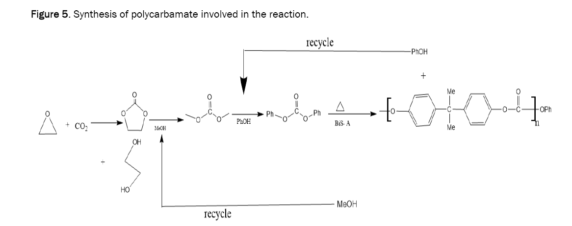 chemistry-polycarbamate