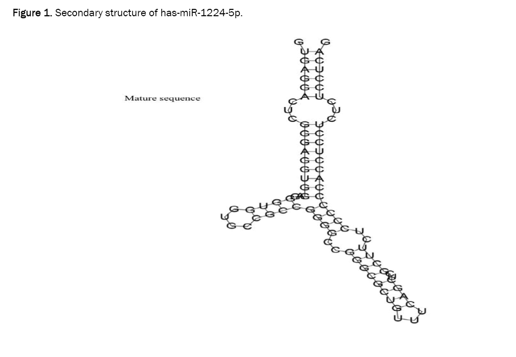 dental-sciences-structure