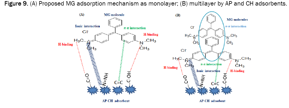 environmental-sciences-monolayer