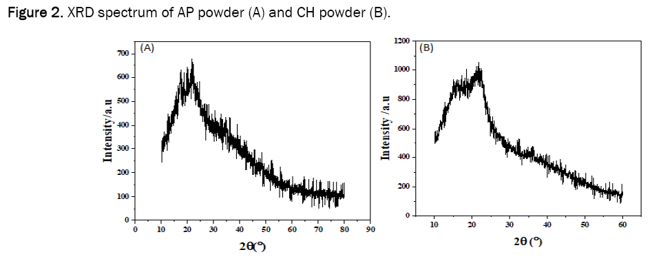 environmental-sciences-powder