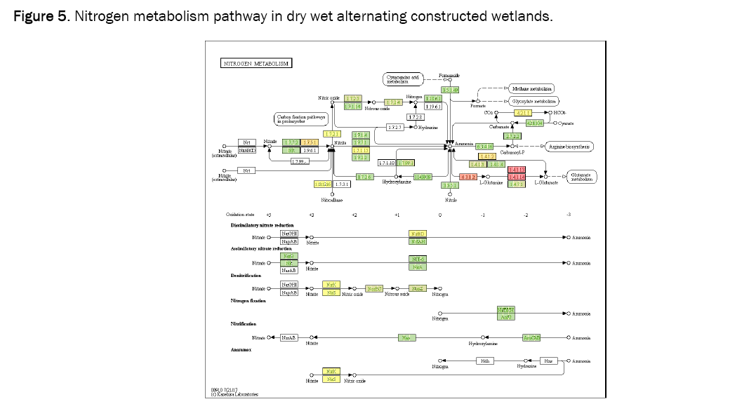 microbiology-metabolism