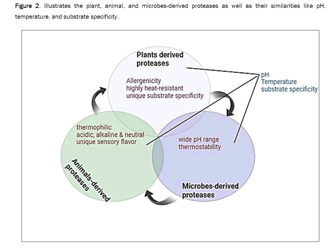 microbiology-microbes