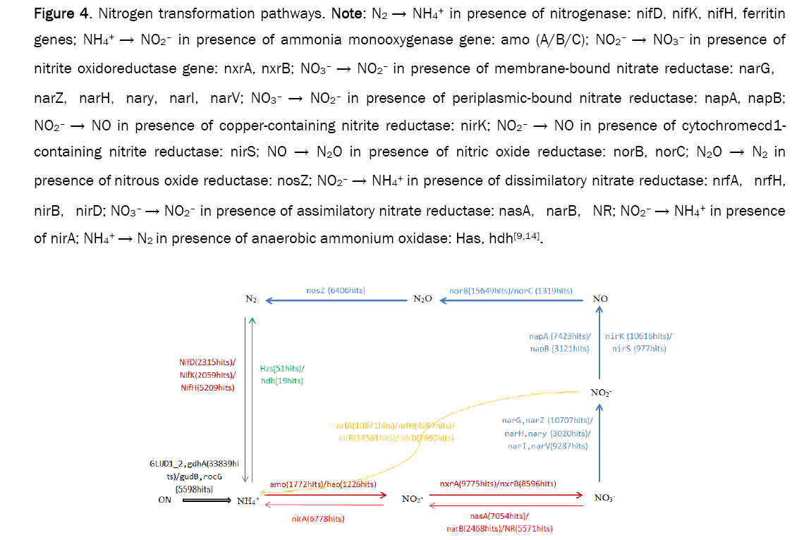 microbiology-pathways