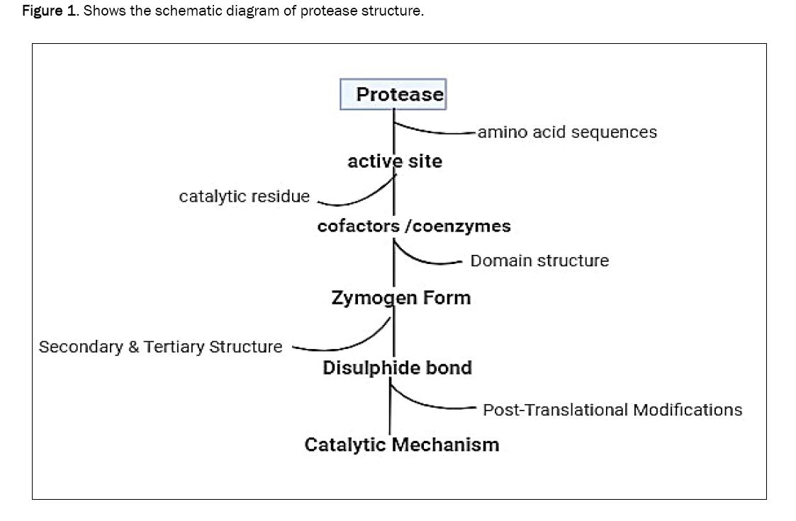 microbiology-schematic