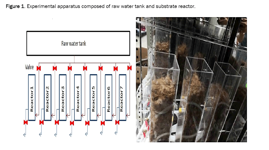 microbiology-substrate