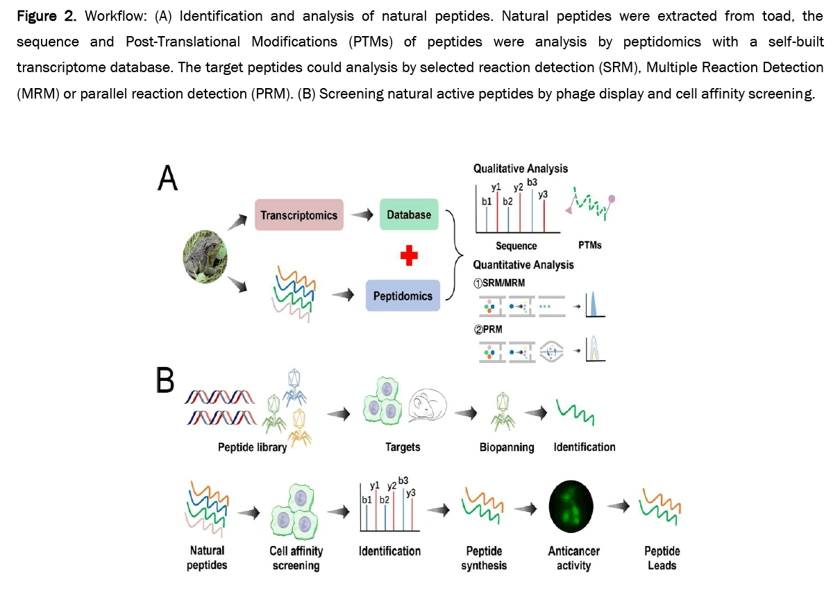 pharmaceutical-analysis-peptides