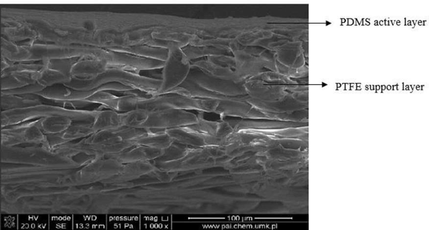 pharmaceutics-nanotechnology-membrane