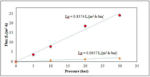 pharmaceutics-nanotechnology-membrane