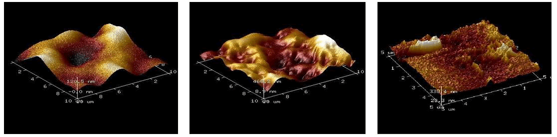 pharmaceutics-nanotechnology-membranes