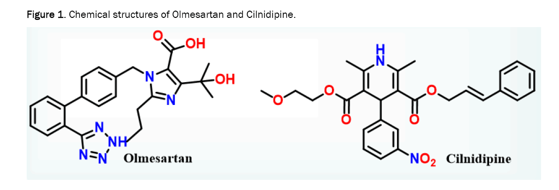 pharmaceutics-nanotechnology-olmesartan