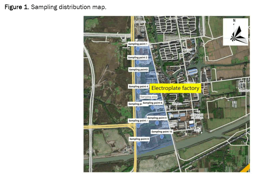 pharmacy-pharmaceutical-distribution