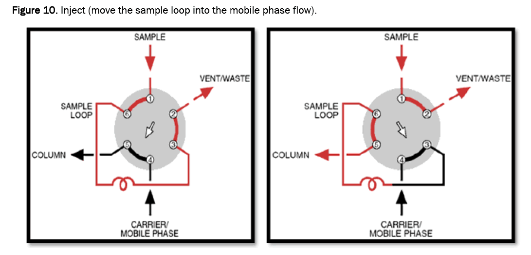 pharmacy-pharmaceutical-loop