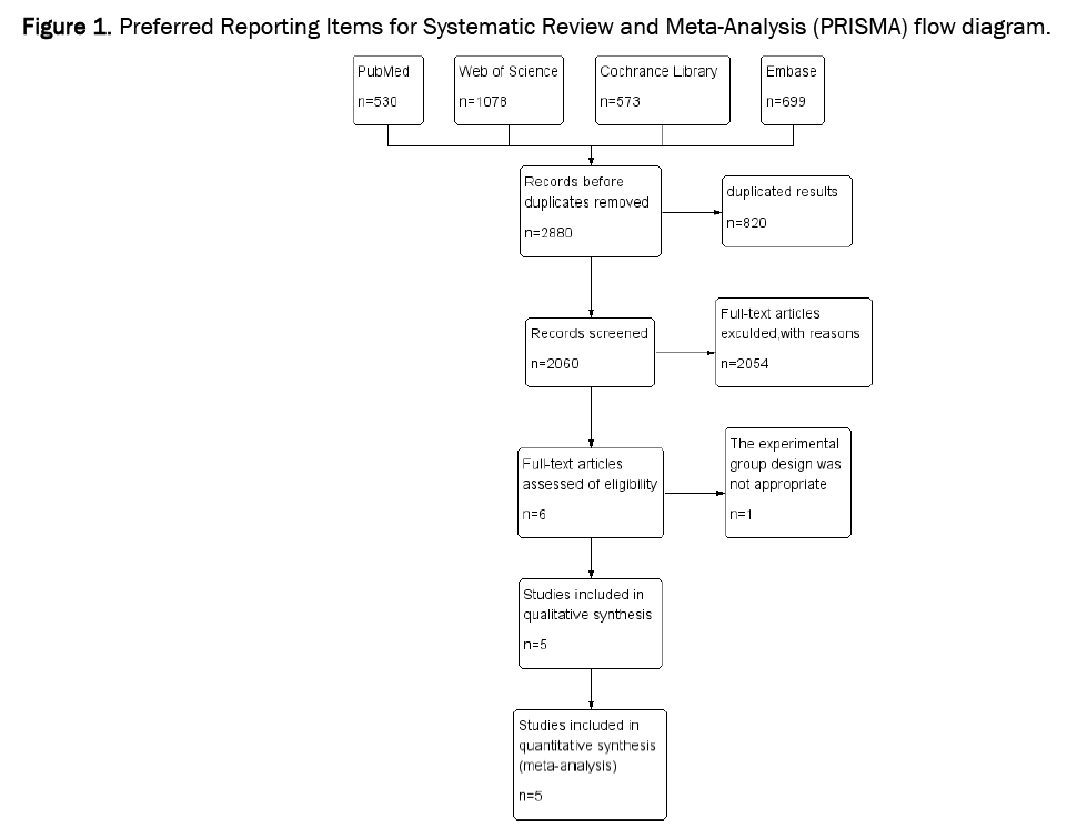 pharmacy-pharmaceutical-systematic