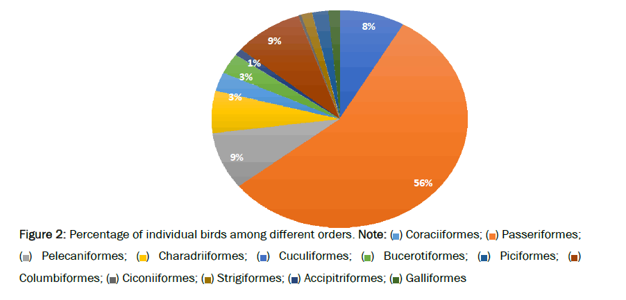 zoological-birds