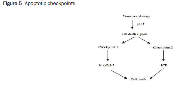 medical-clinical-checkpoints
